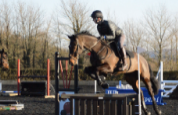William Fox-Pitt Jumping Clinic with Equistro Feed Supplements